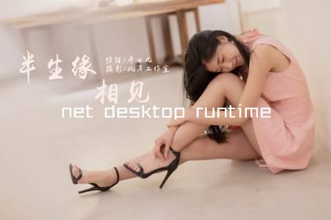 net desktop runtime